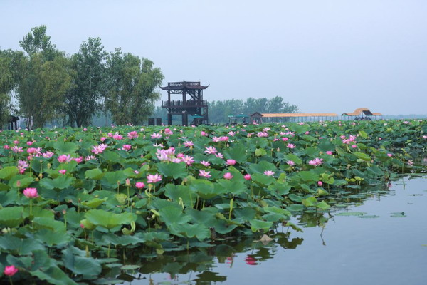 image001.jpg
