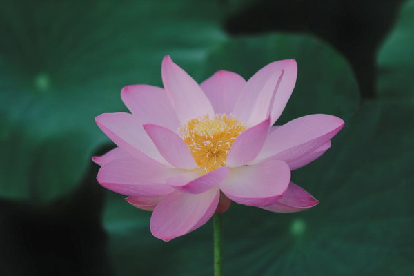 image006.jpg
